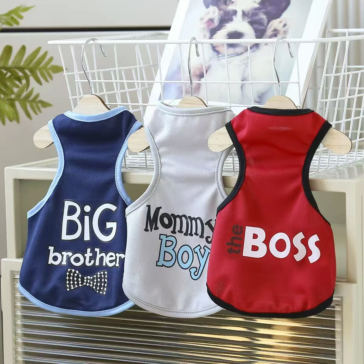 xvwr4528 Summer Thin Printed Vest Clothes for Dogs and Cats - Image 1