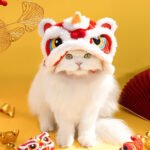 Dog, cat, and lion series fringed hats—fun hats suitable for small animals - Image 2