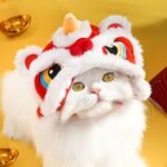 Dog, cat, and lion series fringed hats—fun hats suitable for small animals - Image 3