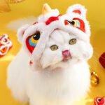 Dog, cat, and lion series fringed hats—fun hats suitable for small animals - Image 4