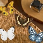 A set of butterfly series magnetic bookmarks, oddly satisfying exquisite book markings - Image 3