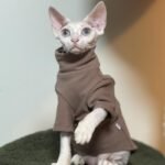 Spring, Autumn and Winter Cat Soft Bottoming Shirt Hairless Cat Clothes Sphynx Warm Pet High Collar Clothes - Image 3
