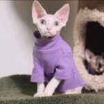 Spring, Autumn and Winter Cat Soft Bottoming Shirt Hairless Cat Clothes Sphynx Warm Pet High Collar Clothes - Image 4