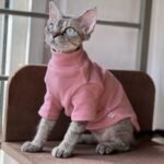 Spring, Autumn and Winter Cat Soft Bottoming Shirt Hairless Cat Clothes Sphynx Warm Pet High Collar Clothes - Image 6