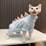 New dinosaur suit series for cats and dogs suitable for spring, summer, autumn and winter - Image 3