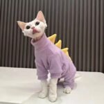New dinosaur suit series for cats and dogs suitable for spring, summer, autumn and winter - Image 5