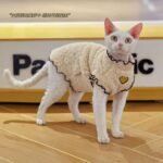 Winter pet clothing with double-sided fleece lining, suitable for cats.