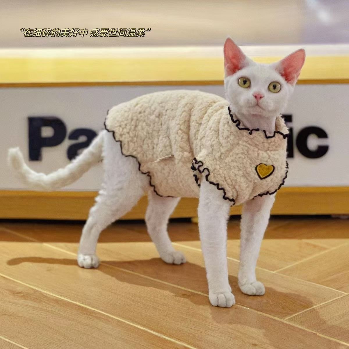 IMG_5351 Winter pet clothing with double-sided fleece lining, suitable for cats. - Image 1