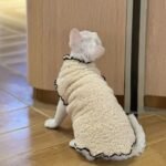 Winter pet clothing with double-sided fleece lining, suitable for cats. - Image 3