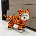 Dog Clothes / Spring and Autumn Style Tiger Series Small Dog Clothes Winter Warmth and Fun Apparel