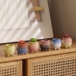 Fun Series: Simple yet creative natural ceramic succulent plant vases, fired at 3000 degrees Celsius - Image 5