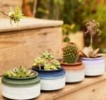 Fun Series: Simple yet creative natural ceramic succulent plant vases, fired at 3000 degrees Celsius. - Image 8