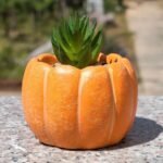 This cement succulent planter features a simple and modern design with an elegant pumpkin pattern, making it perfect for placing on an office desk or in the bedroom. - Image 2