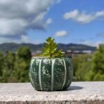 This cement succulent planter features a simple and modern design with an elegant pumpkin pattern, making it perfect for placing on an office desk or in the bedroom. - Image 3