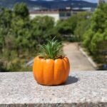 This cement succulent planter features a simple and modern design with an elegant pumpkin pattern, making it perfect for placing on an office desk or in the bedroom. - Image 6