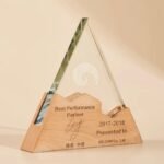 The trophy can be customized with text and is suitable for annual award ceremonies and school award ceremonies. The trophy has an irregular shape.
