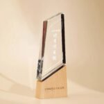 The trophy can be customized with text, making it suitable for annual award ceremonies and school award ceremonies.