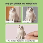 Personalized Stickers - Customizable Pet Photo Stickers - Image 4