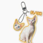 Customized pet photo keychains - made of acrylic - Image 18
