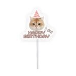 Customized pet birthday cake cards - suitable for cats and dogs - personalized and fun avatars - Image 9