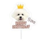 Customized pet birthday cake cards - suitable for cats and dogs - personalized and fun avatars - Image 5