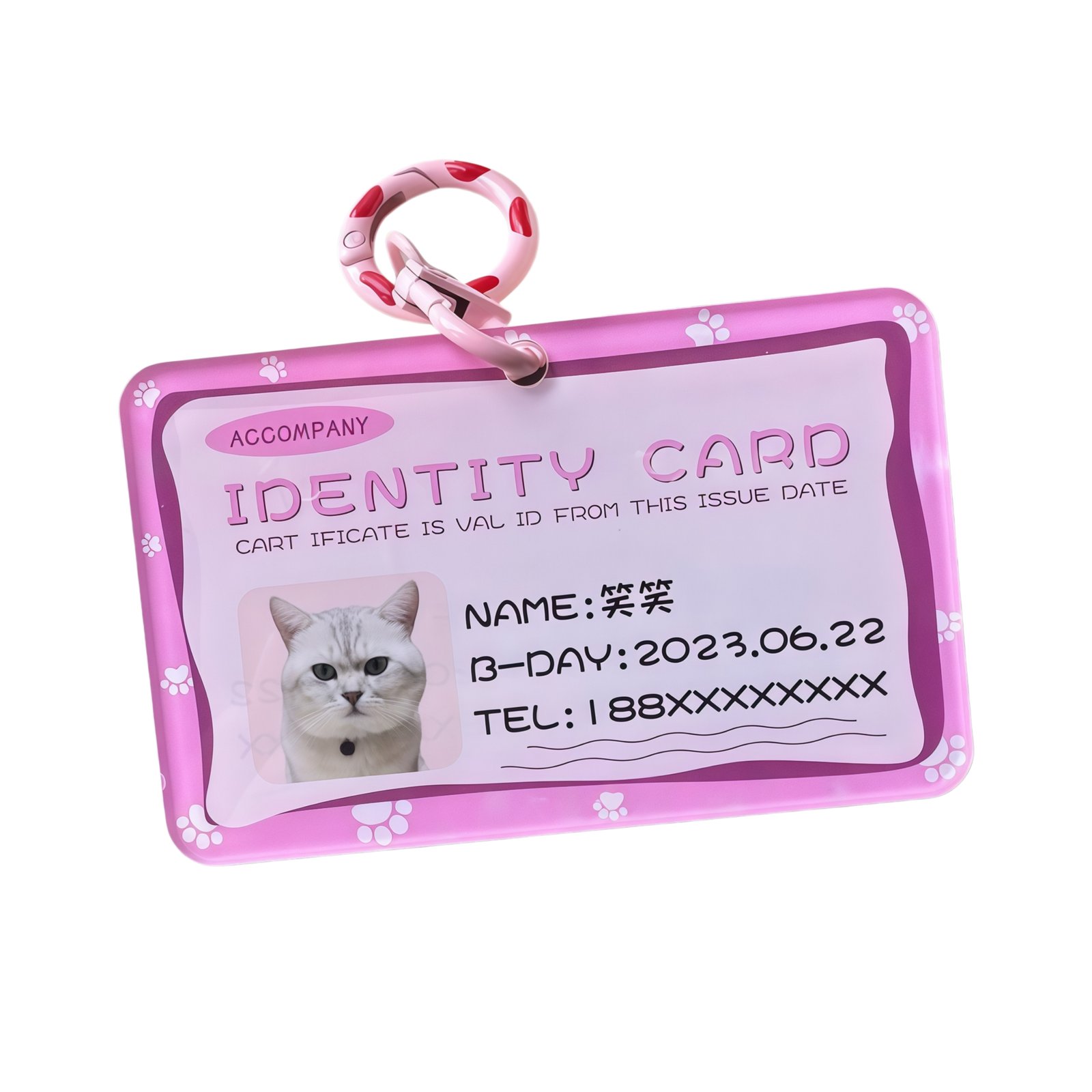 IMG_0945_副本 Customized pet identification tag - Pink - Acrylic material, suitable for cats and dogs - Image 1